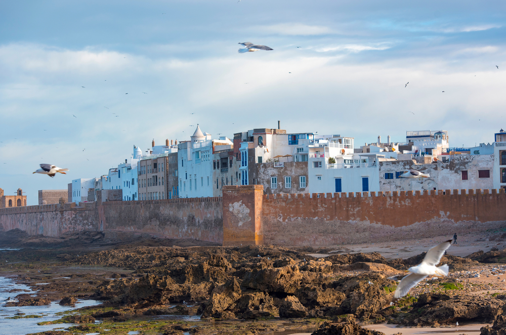 Marrakech to Essaouira Day Trip