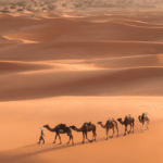 marrakech-to-merzouga-desert-tour