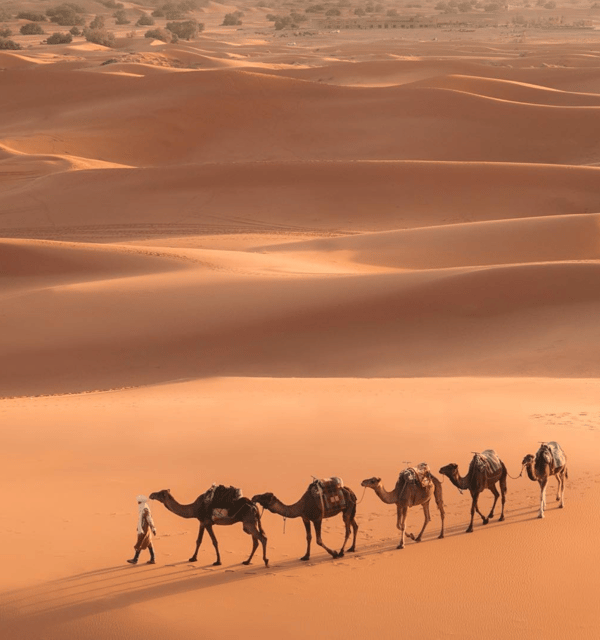 marrakech-to-merzouga-desert-tour