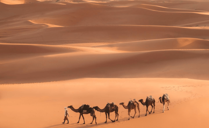 marrakech-to-merzouga-desert-tour