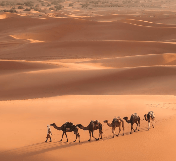 marrakech-to-merzouga-desert-tour