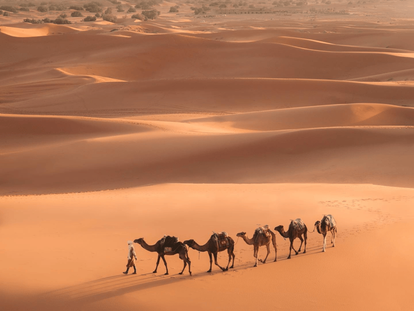 marrakech-to-merzouga-desert-tour