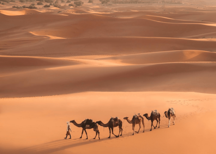 Marrakech to Merzouga Desert Tour 3-DAYS