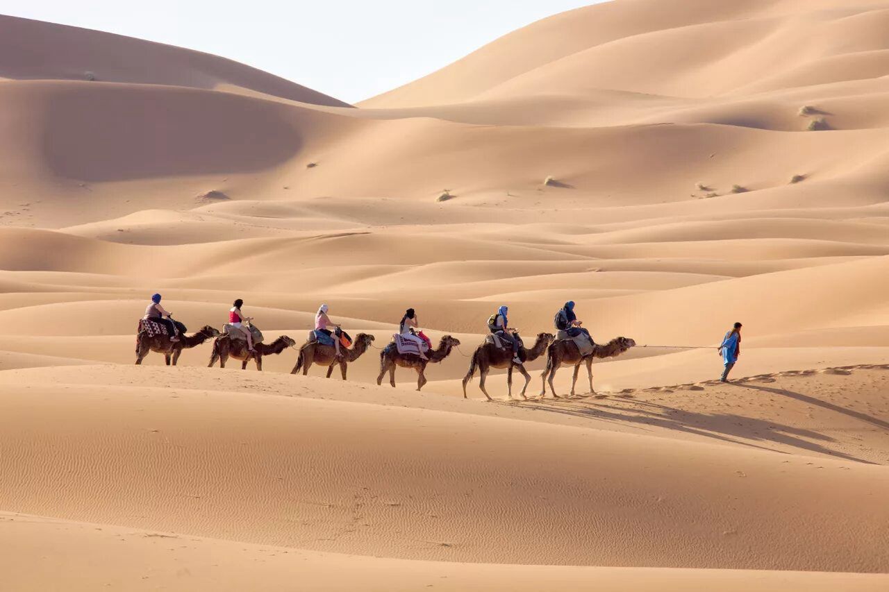 camel trekking in Merzouga dunes