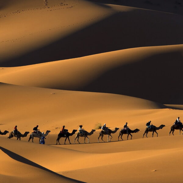 Camel ride during Merzouga Desert Tours