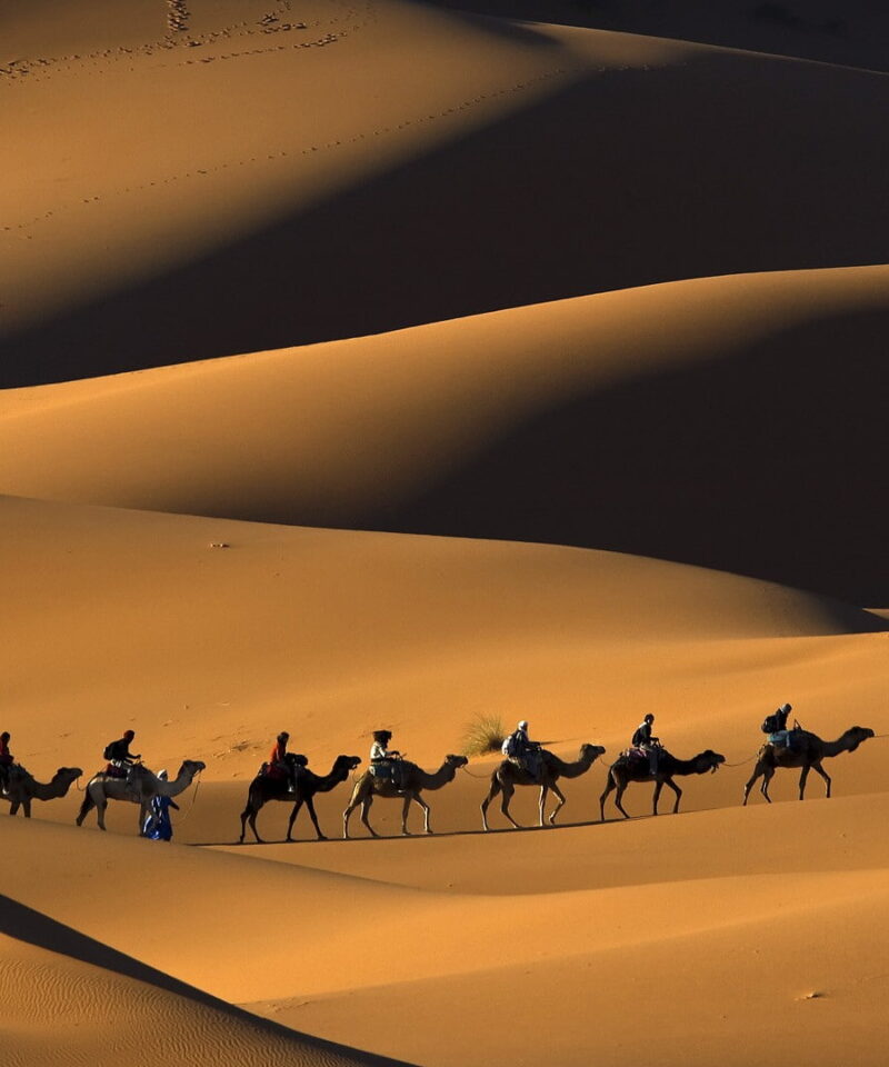 Camel ride during Merzouga Desert Tours