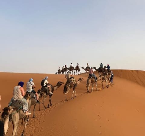 Fez-to-Marrakech-desert-tour